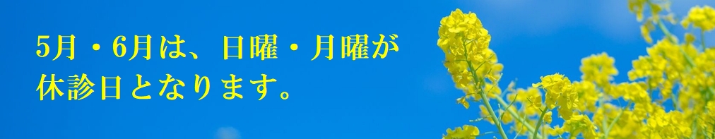 西宮の鍼灸院 休診日のお知らせ